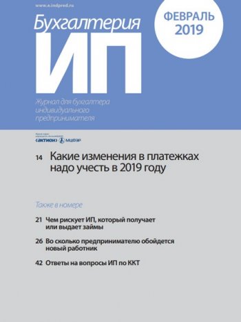 Бухгалтерия ИП №2 (февраль) (2019) PDF