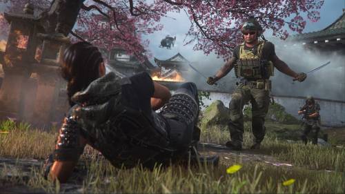  Источник изображений: Activision 