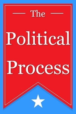 The Political Process