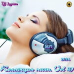 Коллекция песен от DJ Larochka Vol.29 (2024) MP3