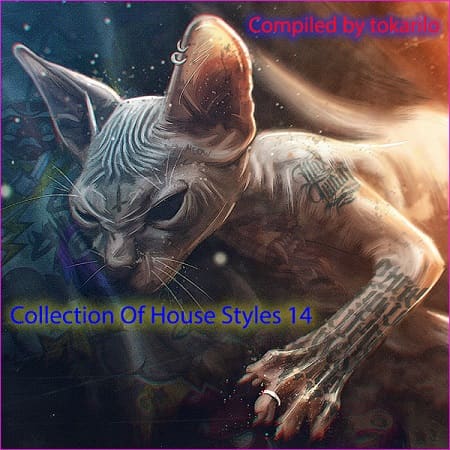 Collection Of House Styles 14 [Compiled by tokarilo] (2024) MP3